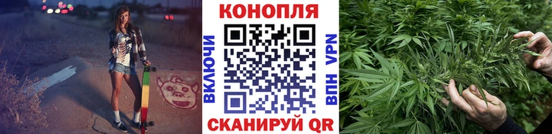  COCAIN Гай