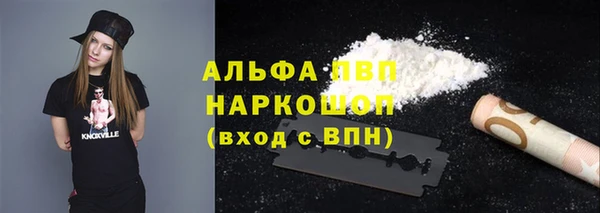 круглые Белокуриха