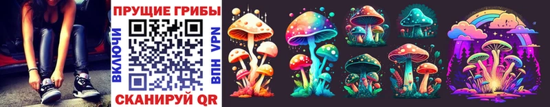 Псилоцибиновые грибы мицелий  мега tor  Гай 